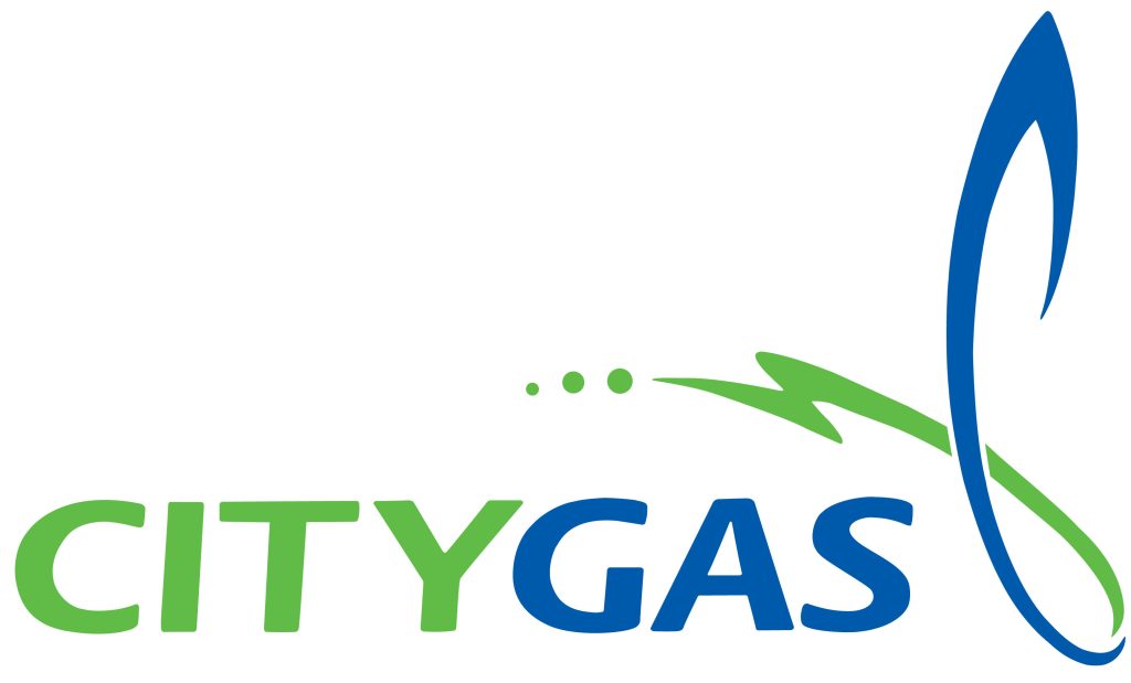 City gas logo