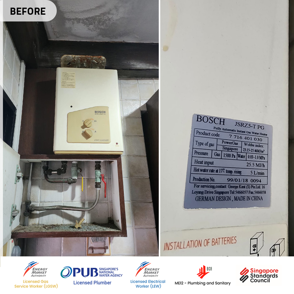 Gas Water Heater HDB Replacement: Bosch JSRZ5-T PG to Macro MA-8NFL 3 Indoor Bosch JSRZ5-T PG Gas Water Heater HDB 01