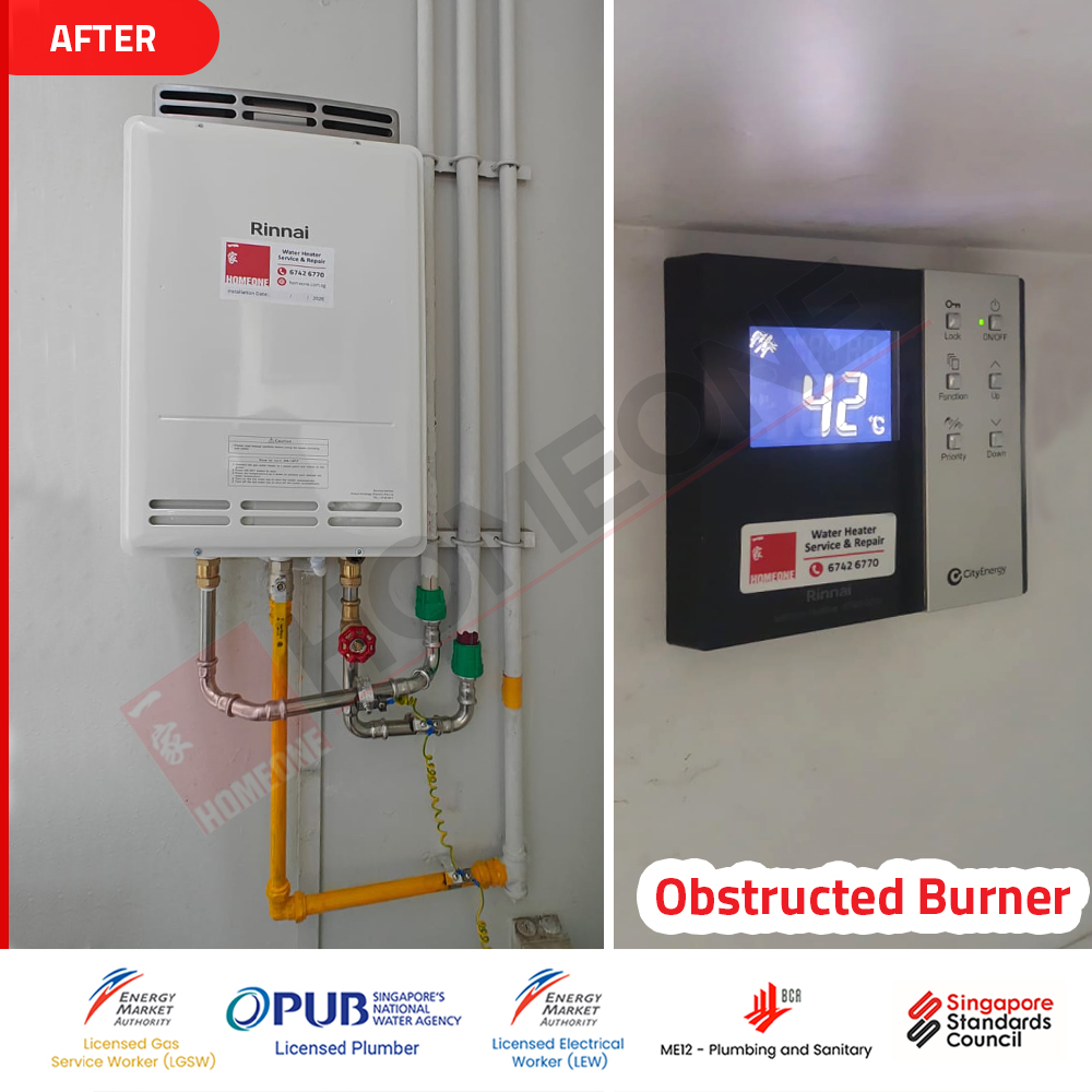 Gas Water Heater Not Working at Botannia PCB and Heat Exchanger issue After replaced