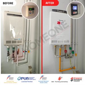 Gas Water Heater Not Working at Botannia - PCB and Heat Exchanger issue- Before and After replaced