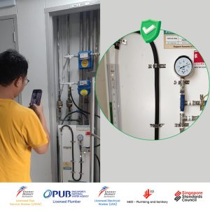 Blogs 461 Final Pressure Test Most gas heater installer skip