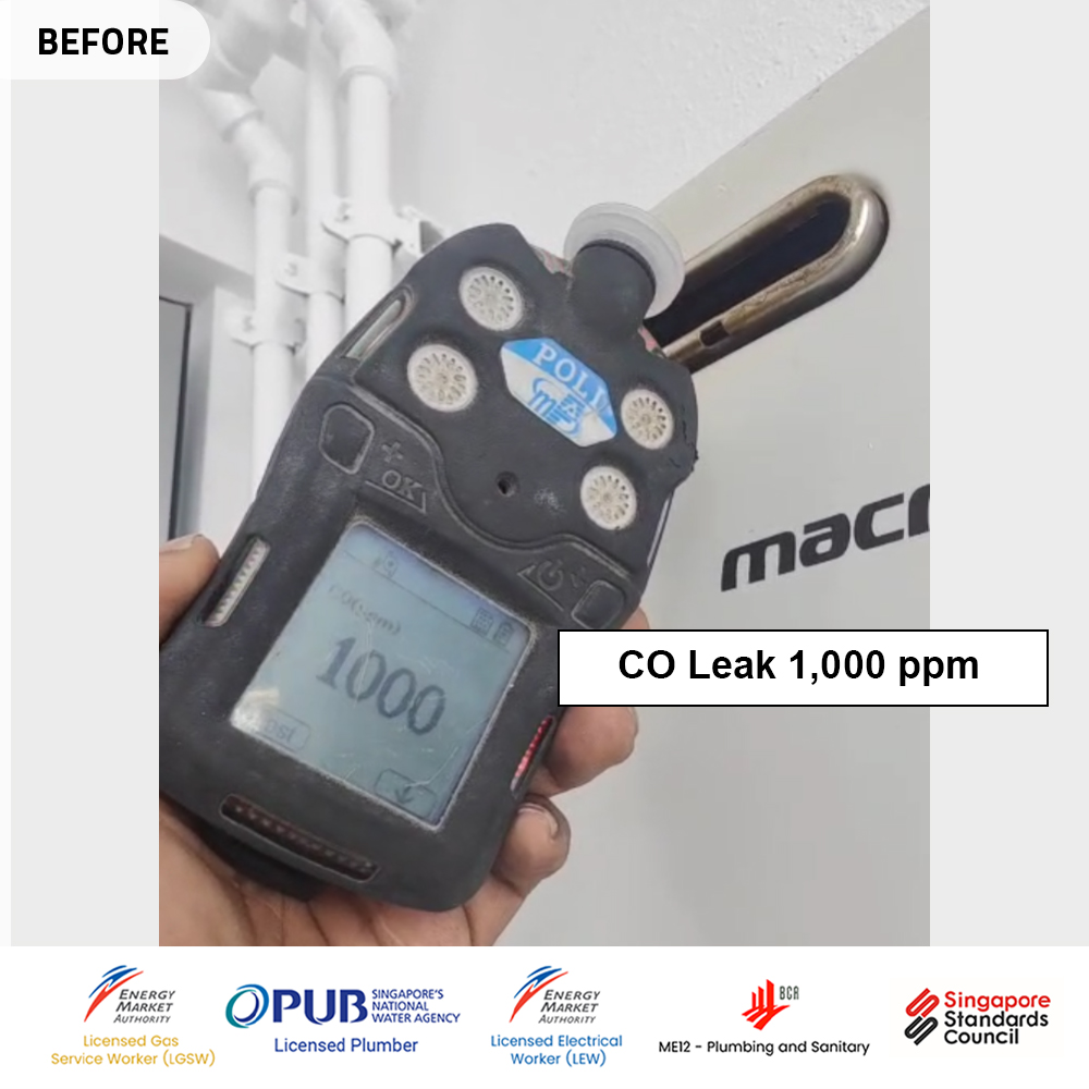 Macro Gas Heater Powered by Citygas- suspect gas leak.001