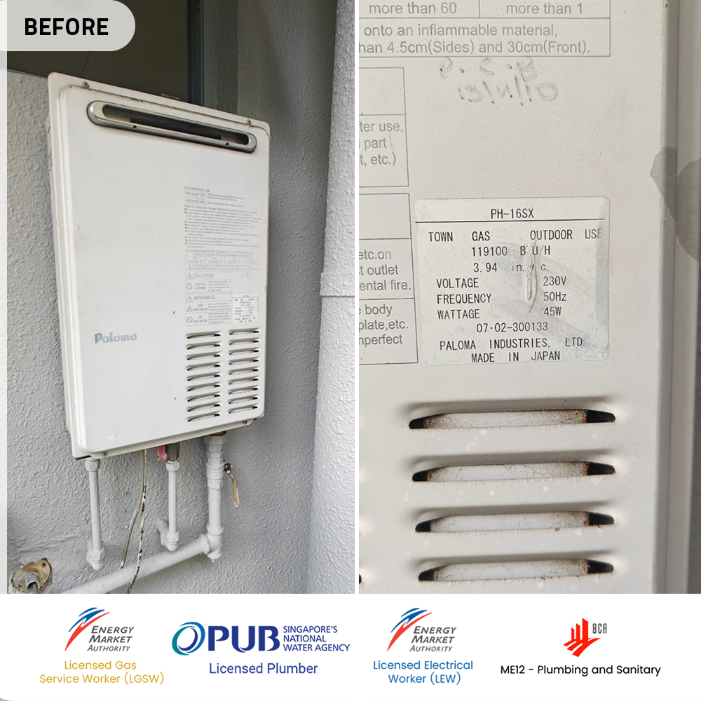 before paloma gas heater replacement viz at holland queenstown